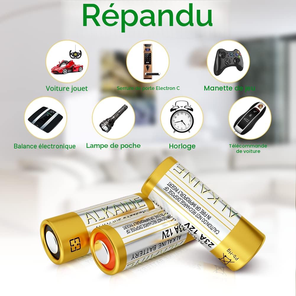 Piles 23A 12V A23 12 Volts Alkaline Batterie A23S MN21/23 L1028 V23GA LRV08 8LR932,Lot of 10, sans Mercure, Haute Performance [3 Ans Garantie]