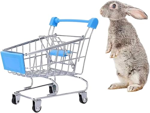 Juguete de conejo Conejito Mini carrito de la compra Pequeño Animal Supermercado Carrito de mano erizos Loro Pájaro Gatos Ratones Cerdos holandeses disponible en Yaxa Peru