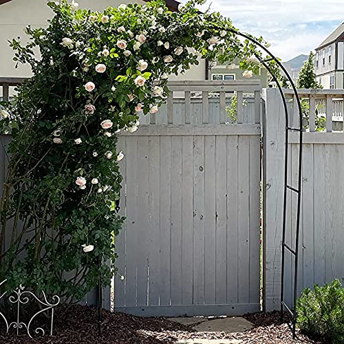 Olivy Gartenbogen Rosenbogen Aus Metall, Breite 140cm 180cm 220cm Rankhilfe Spalier Für Kletterpflanzen, Rosen, Hochzeit, Geburtstag Hochzeit, Party Dekoration (Größe : W180mxH220cm) Cover