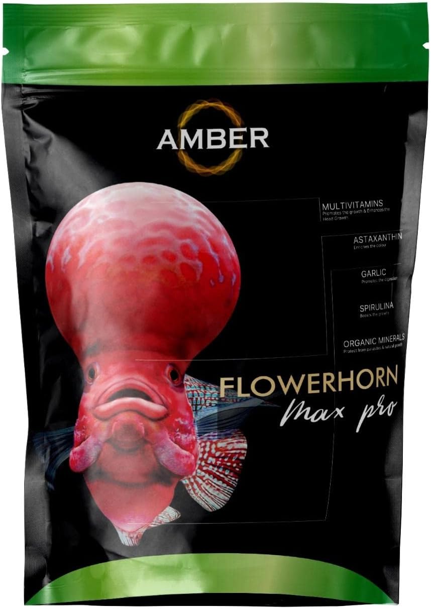 TAIYO Amber Asta Plus Flowerhorn Medium Food (Max pro, 100g)