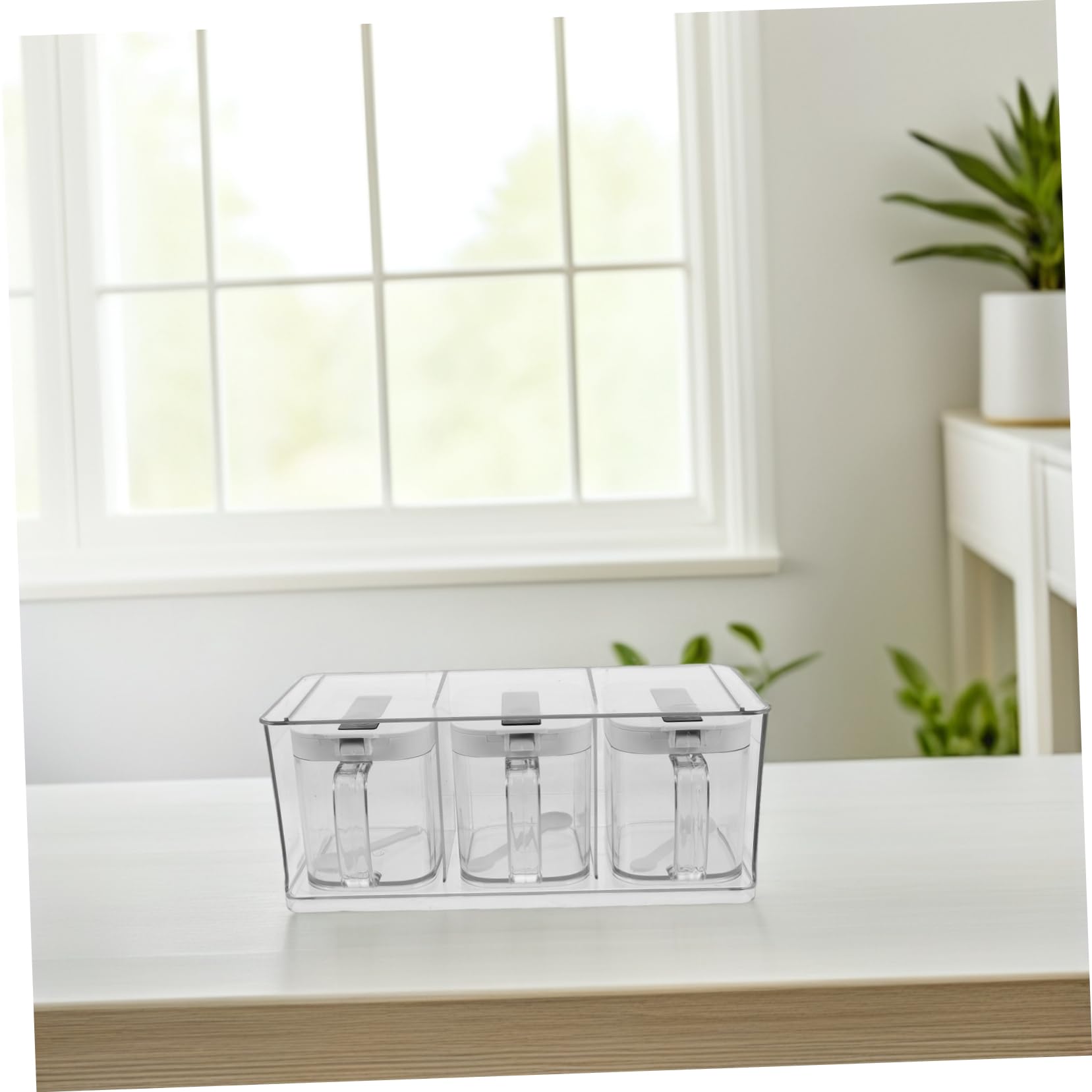 LIFKOME Boîte à Épices Cuisine en Pet avec Couvercle, Ensemble 1 Set, Rangement Multifonctionnel pour Sel et Huile, Design Simple et Élégant, Montage Mural pour Accès Rapide