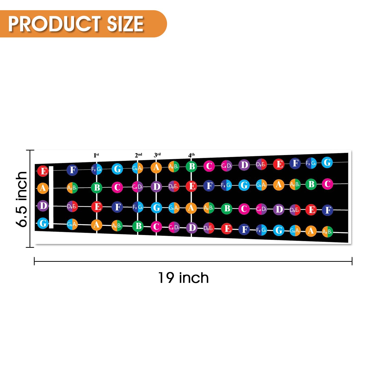 Amazon.com: QMG Color Coded Violin Fretboard Note Chart