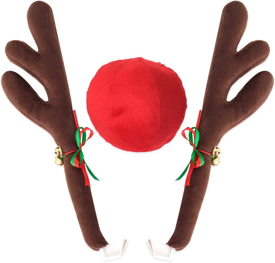 decorazioni natalizie per auto