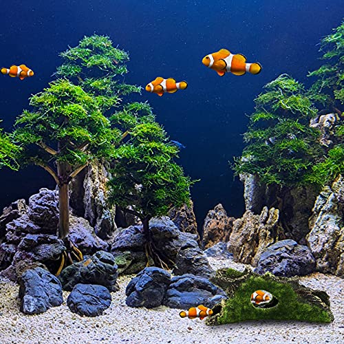 Tronco Artificiale per Acquario, 2Pz Troncos Decorazione dell'acquario per Nascondere Pesce e Gamberetti, Decorazioni dell'albero dell'acquario Usa la Forma della Grotta e Tronco Artificiale in Resina - Image 8
