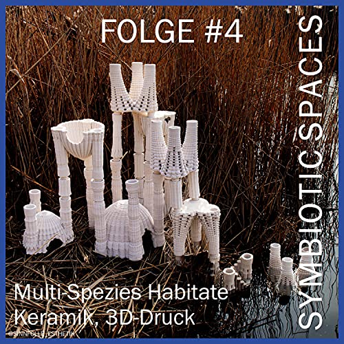 Beyond Human Design - Laurin Kilbert