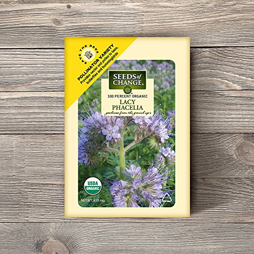 Seeds Of Change 8174 Lacy Phacelia Flower, Purple #TOP1