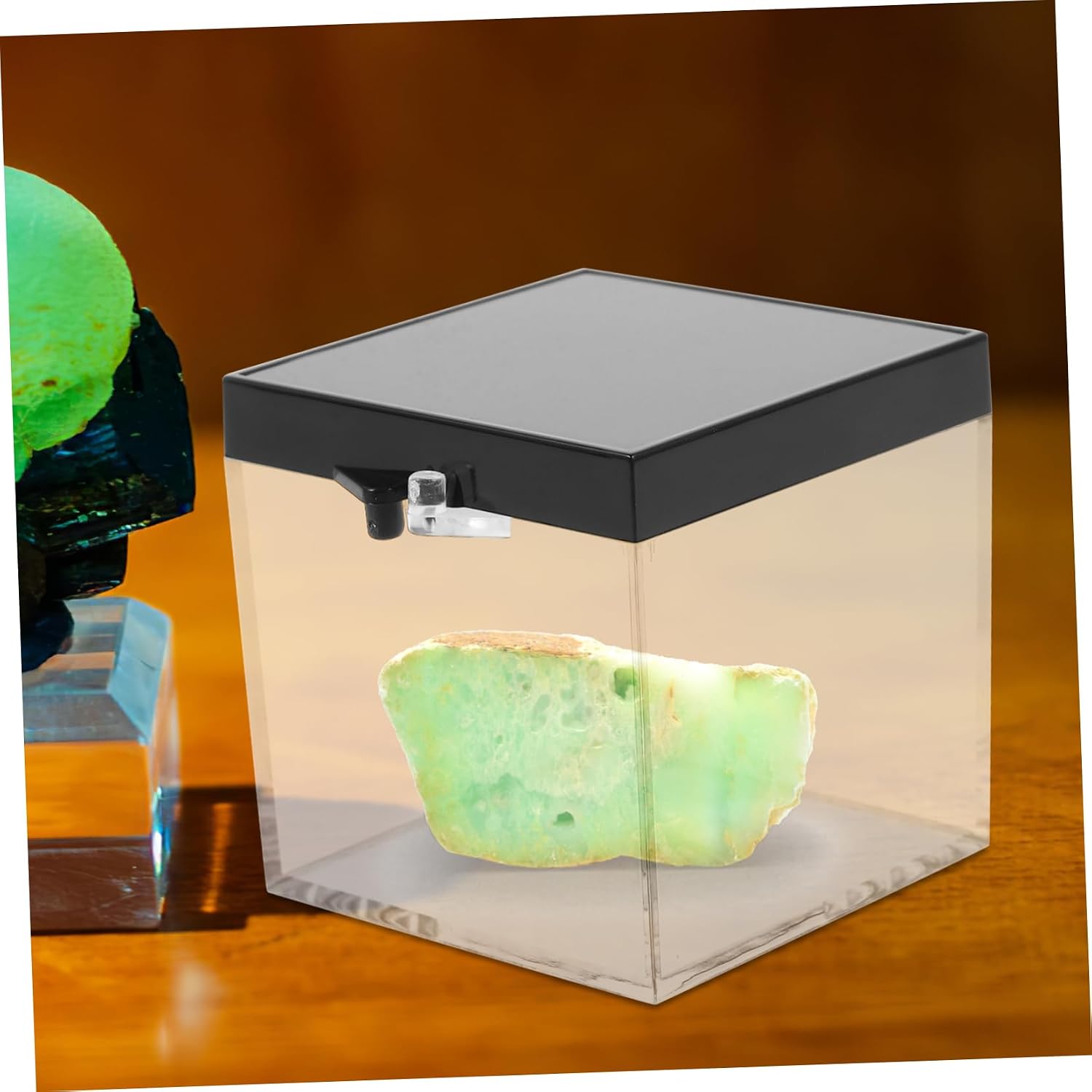 ABOOFAN 6pcs Display Box for Mineral Specimens Storage Container for Jewelry and Items Lightweight Organizers Protective Design