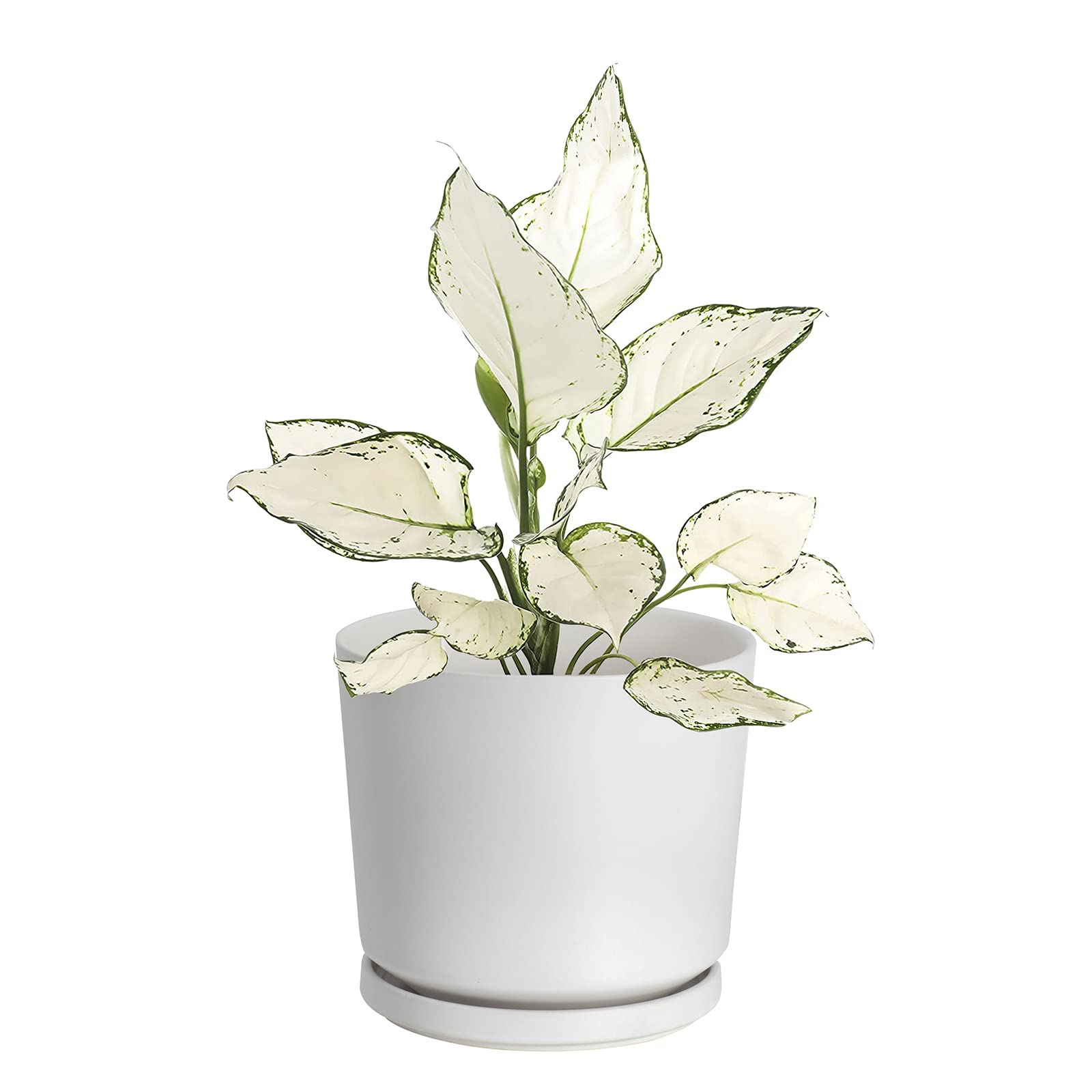 Pot de fleurs blanc en céramique 19 cm Ekirlin avec soucoupe