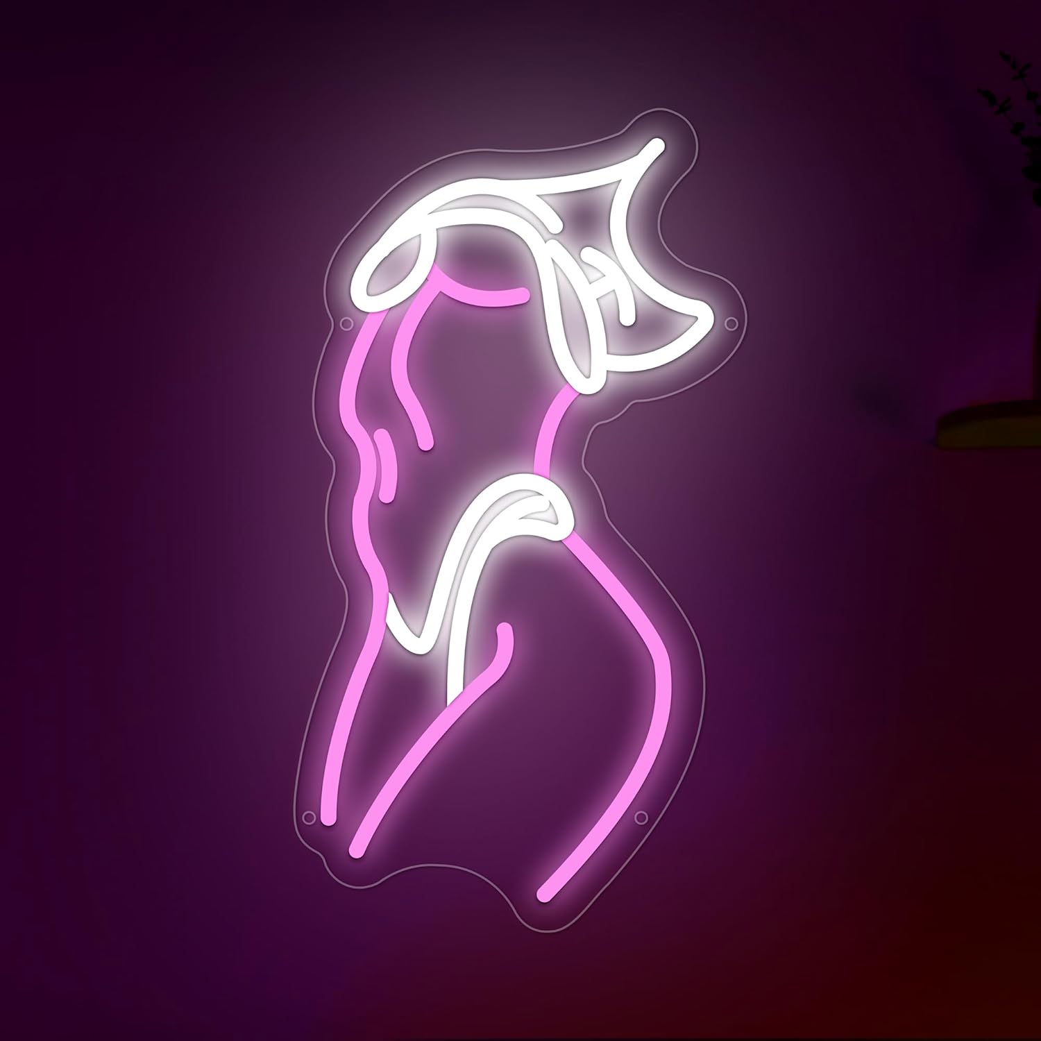 Lady Neon Sign, Pink Women Led Signs for Wall Decor, Dimmable Neon Light Sign for Bedroom, Game Room, Living Room, Bar Decoration, USB Powered Light Up Signs for Man Cave - Image 7