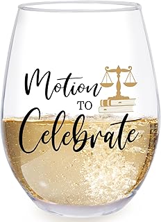 Motion To Celebrate Lawyer Gifts for Women, Men, Future Lawyers, Law Student, Paralegal, Attorney, Judges, Bar Exam Gifts, Graduation, Birthday, Christmas Gift for Lawyer-12