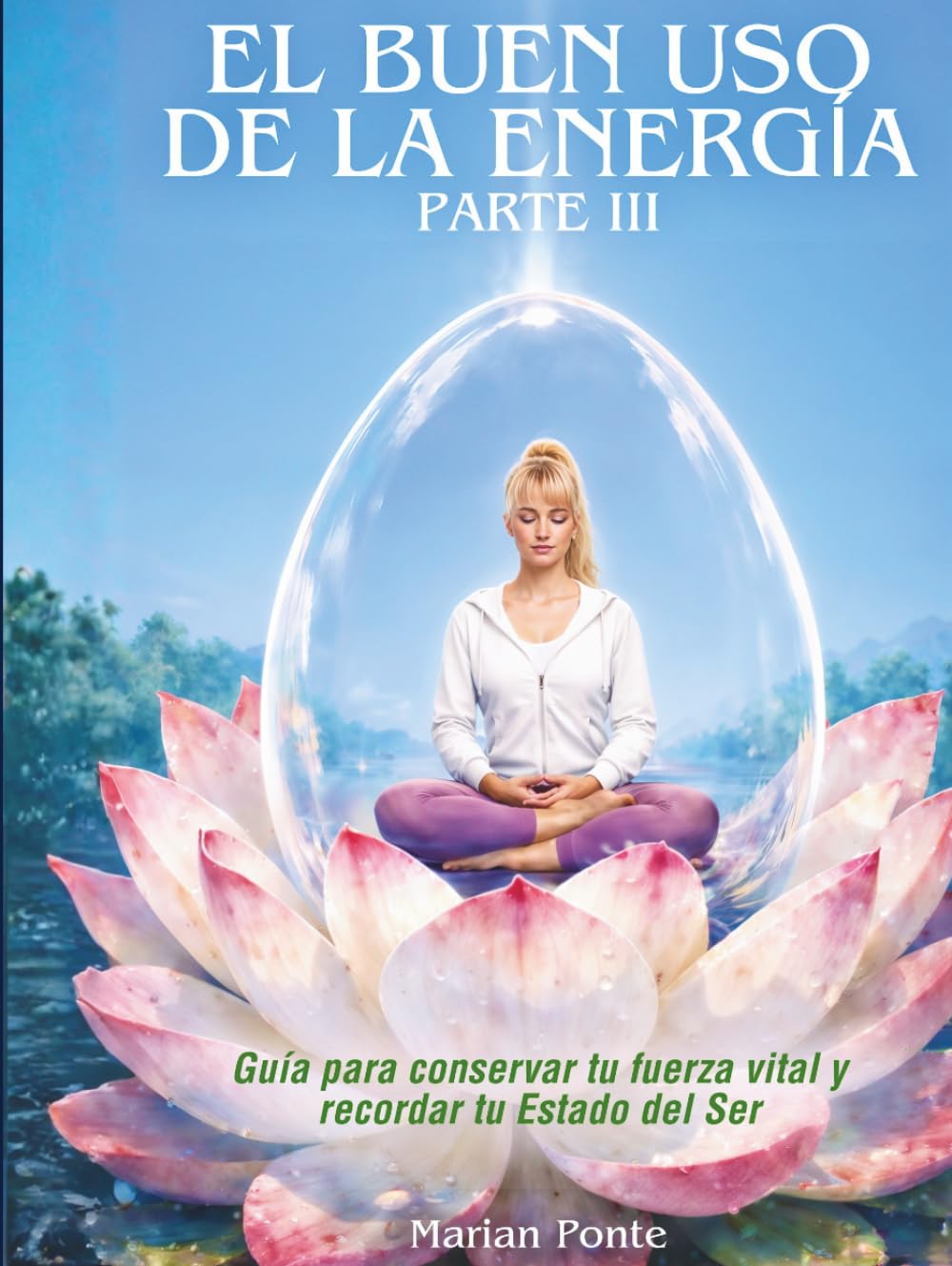 EL BUEN USO DE LA ENERGÍA PARTE III. CONSCIENCIA ENCARNADA.: Cuerpo, trauma y los límites reales de la energía