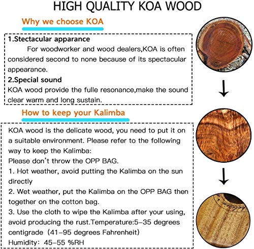 Kalimba 17 Clés, Kalimba Instrument avec Outils D’apprentissage Professionnels, Kalimba avec Boîte de Protection est un… - Les Beatles, Paul McCartney, John Lennon, RIngo Starr, George Harrison Kalimba 17 Clés, Kalimba Instrument avec Outils D'apprentissage Professionnels, Kalimba avec Boîte de Protection est un… – Image 6