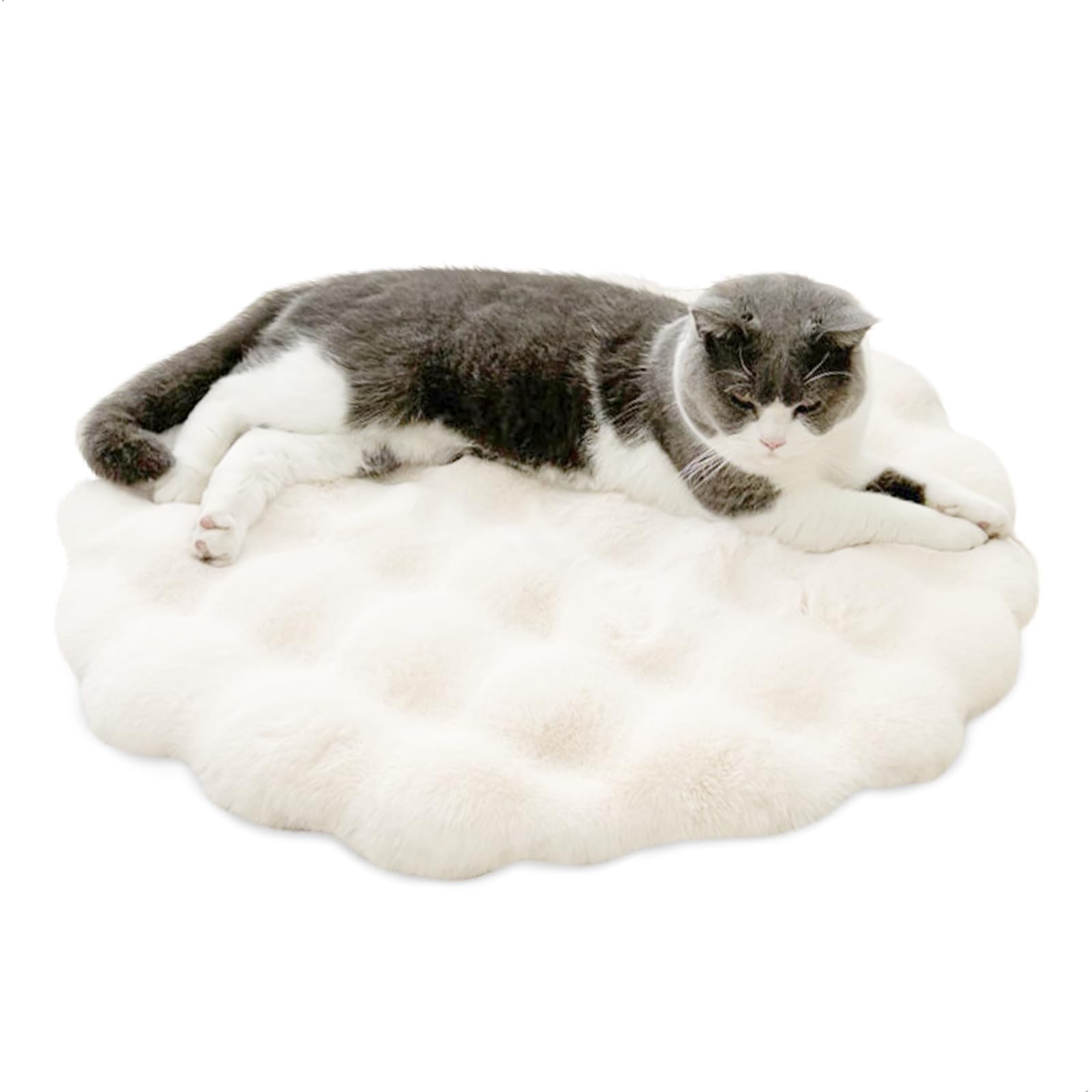 momgyaamz Cushion for Dogs, Dog Bed, 40 x 40 cm, Small Inner Dog, Washable Dog Bed, Soft Dog Mat, Hairy Puppy for Dogs, Donut, Soft Cat Puppy