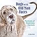 Dogs with Old Man Faces: Portraits of Crotchety Canines