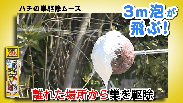 Amazon.co.jp: イカリ消毒 ムシクリン ハチの巣駆除ムース300ml