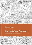  Alte Montafoner Flurnamen I, Bartholomäberg, Schruns, Silbertal: Sonderband 21 zur Montafoner Schriftenreihe (Sonderband zur Montafoner Schriftenreihe)