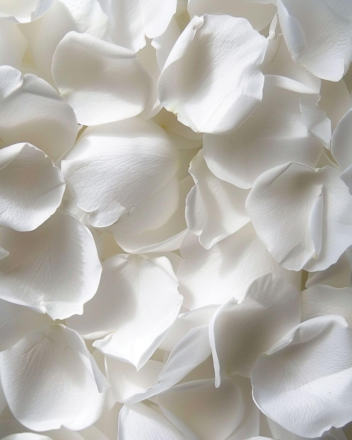 3.5 Oz Dried Rose Petals Wedding Biodegradable Petals, Natural Preservation Real Flower Petals, Suitable For Flower Petals For Flower Girl, Romantic Night, Table Decoration (White Pink, 100g