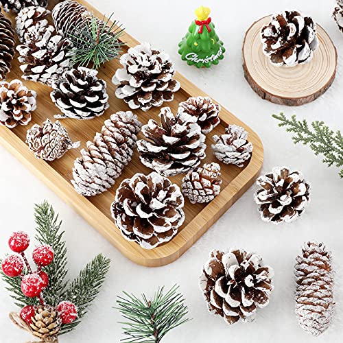 Whaline 43Pcs Christmas Pine Cones Natural Snow Pinecones Assortment Pine Cones For Crafts Gift Xmas Tree Holiday Home Ornament Party Favor Decoration Fireplace Mantel Table Centerpiece, 4 Styles #TOP3