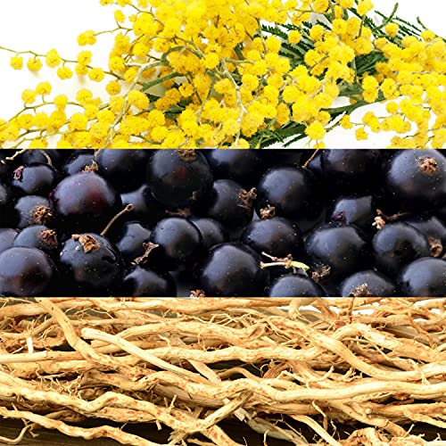 Perfumes, Beauty Imagen adicional