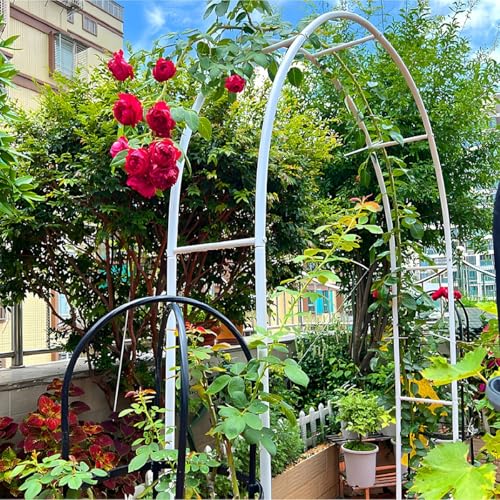 Arco de jardín de metal estable con base para solucionar la falta de soporte de rosales 7
