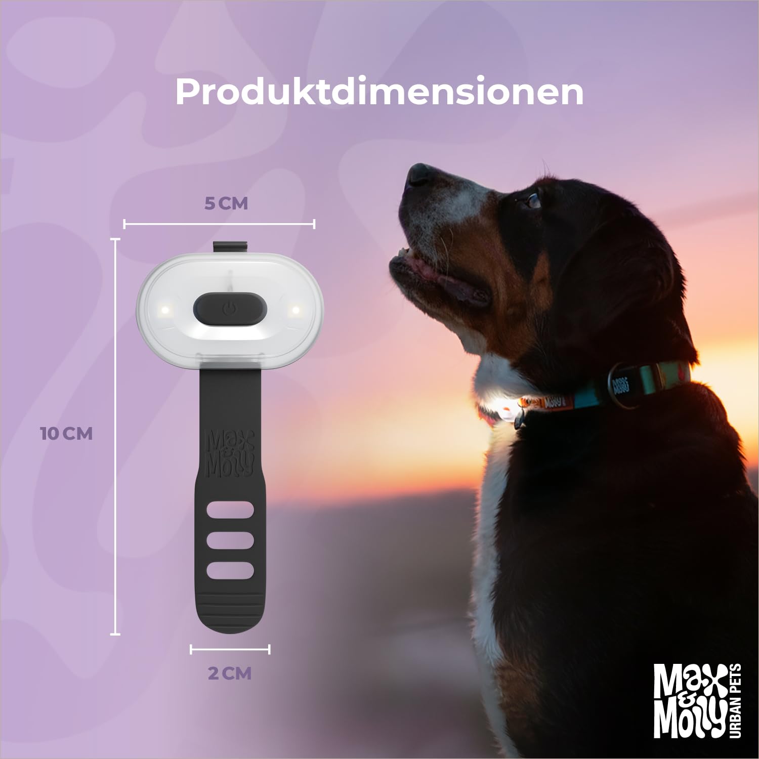 Max & Molly Matrix 2.0 Ultra LED, Hundelicht für Geschirr, Leine & Halsband, Jade, Wasserfest, USB Wiederaufladbar, Hundelampe LED, Hunde Leuchtanhänger für mehr Sicherheit bei Nacht