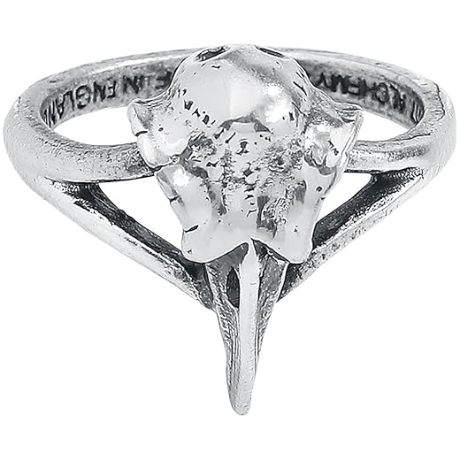 Raven Skull Occult Ring