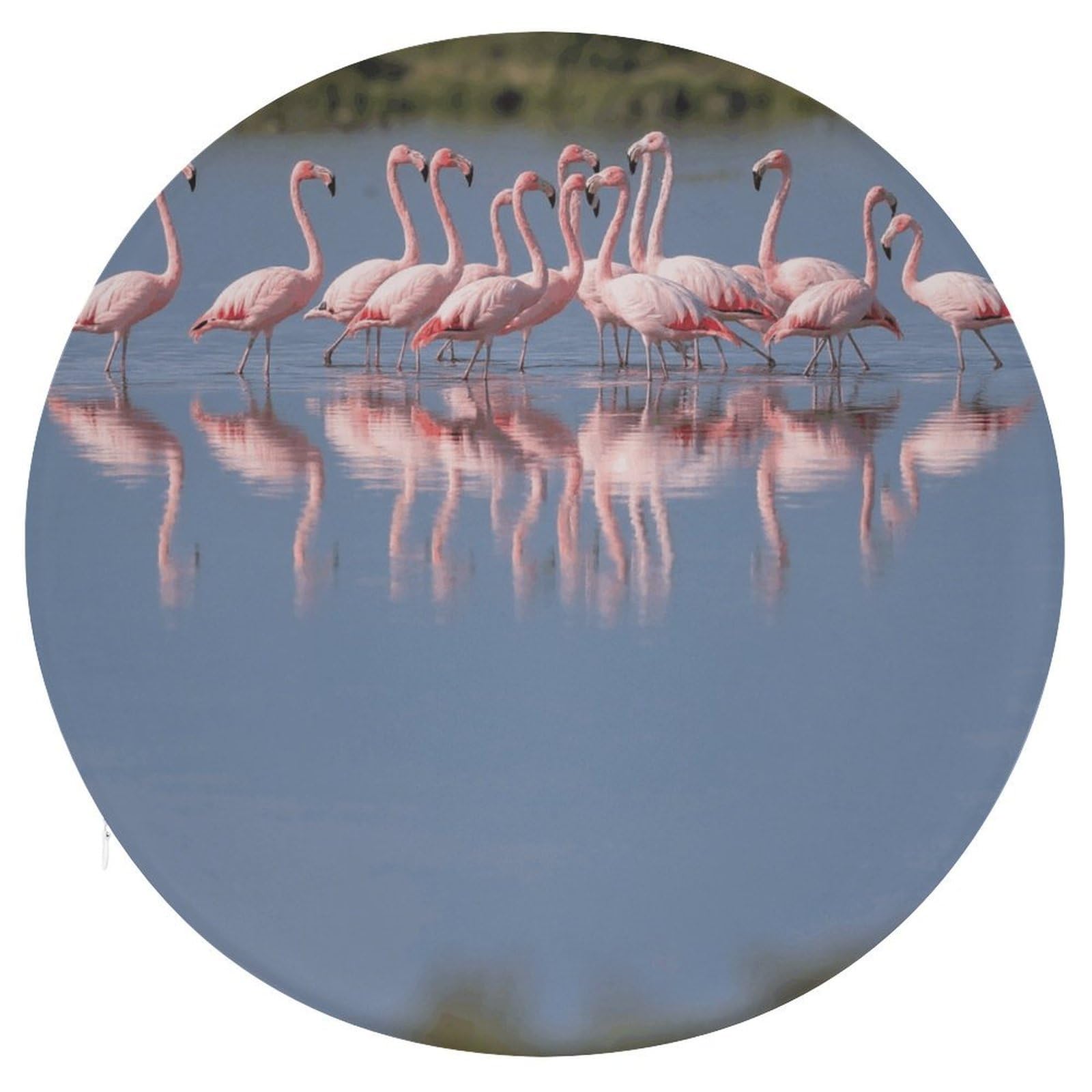 VstaDank A Flock of Flamingos Cushions Memory Non Slip Car Seat Cushions Dining Chairs Cushion Indoo Dining Room Round Chair Pads with Zipper and Removable Cover Cushion