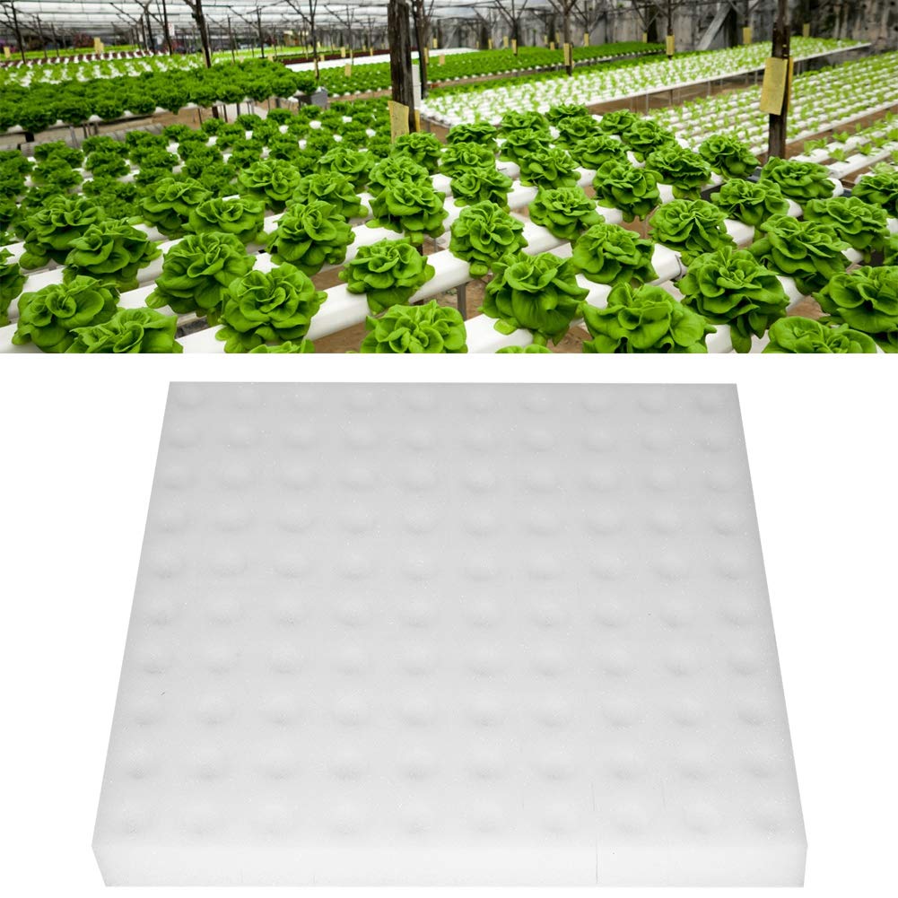 Mumusuki 100Pcs Sponge Cubes, Hydroponic Sponge Planting Tool Sponges DIY Foam Cloner Inserts for Net Pots, Aeroponics for Greenhouse Hydroponic