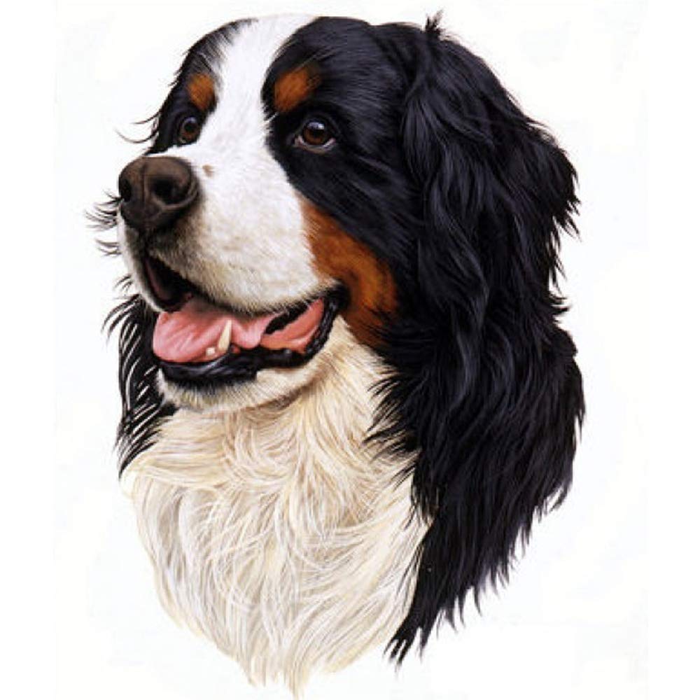 Bernese Mountain Dog Embroidery EMBROIDERY & ORIGAMI