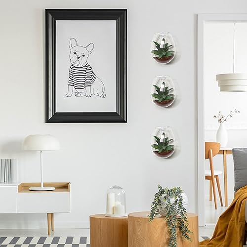 Miniatura 3 de Paquete de 6 macetas colgantes de cristal para colgar en la pared, jarrones de pared de terrario, estación de propagación de plantas