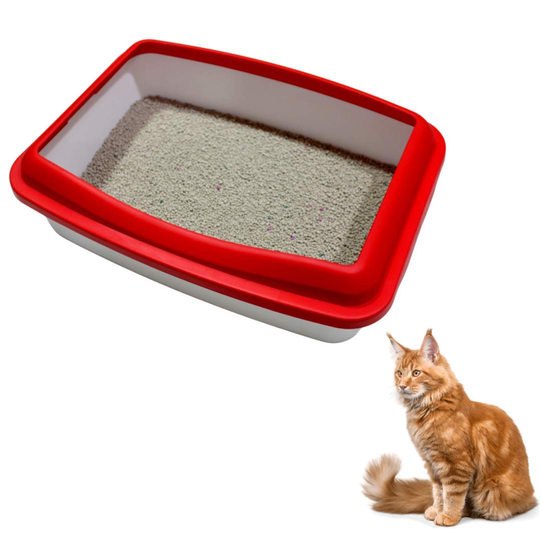 TAIYO PLUSS DISCOVERY® Cat Litter Tray, Size: (35X25 CM) (LXH), Cay Litter Tray with Rim/Semi Closed Style of Cat Litter Basin, Open Tray, Suitable for Cats & Kittens (RED) (B08WHC9HHP) Amazon Price History, Amazon Price Tracker