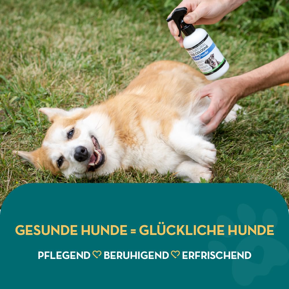 The Healthy Dog Co - Natürliches Hundeparfüm Spray - Baby Puder Hundeparfüm gegen Gerüche -Sanfte Fellpflege & Hunde Spray - Hundedeo gegen schlechte Gerüche - Hunde Parfüm Fellspray für Welpen -250ml