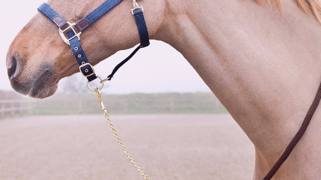 Lunghina Cavallo Heavy Strong USA Style - Nylon Tubolare Con Moschettone, Design Italiano Tosoni Selleria - Foto 8