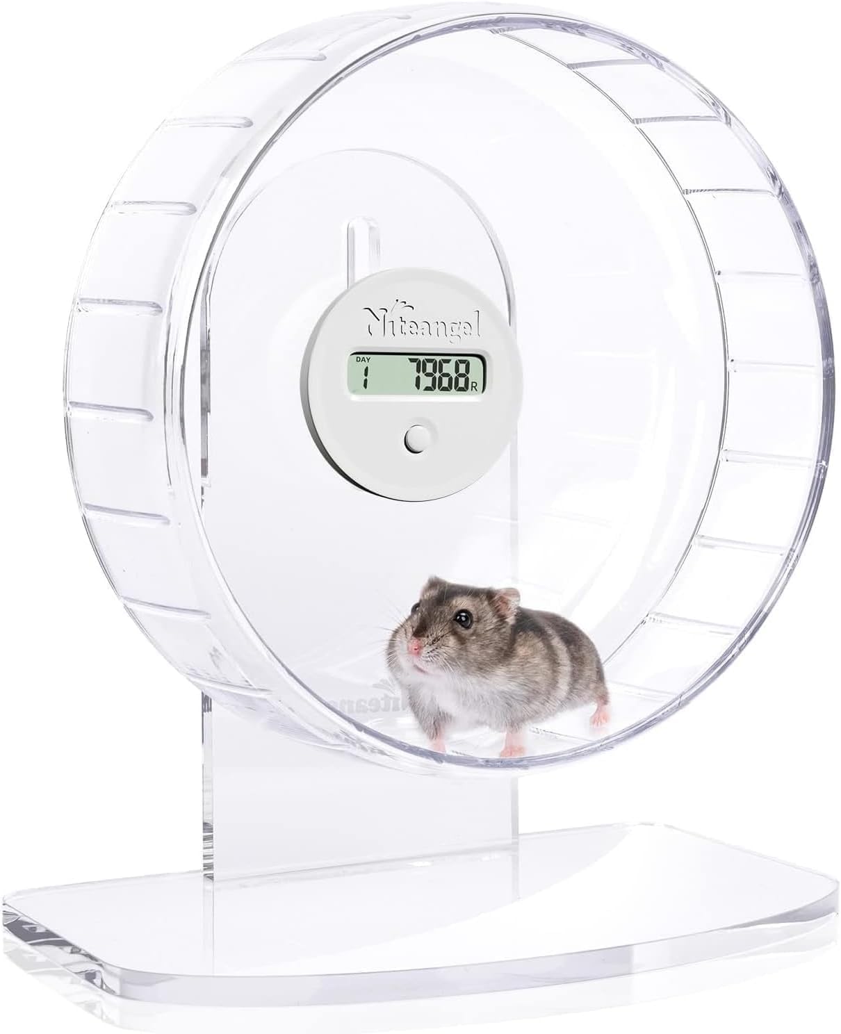 Niteangel Super-Silent Hamster Exercise Wheels with Pedometer- Quiet Spinner Hamster Running Wheels with Adjustable Stand for Hamsters Gerbils Mice Or Other Small pet