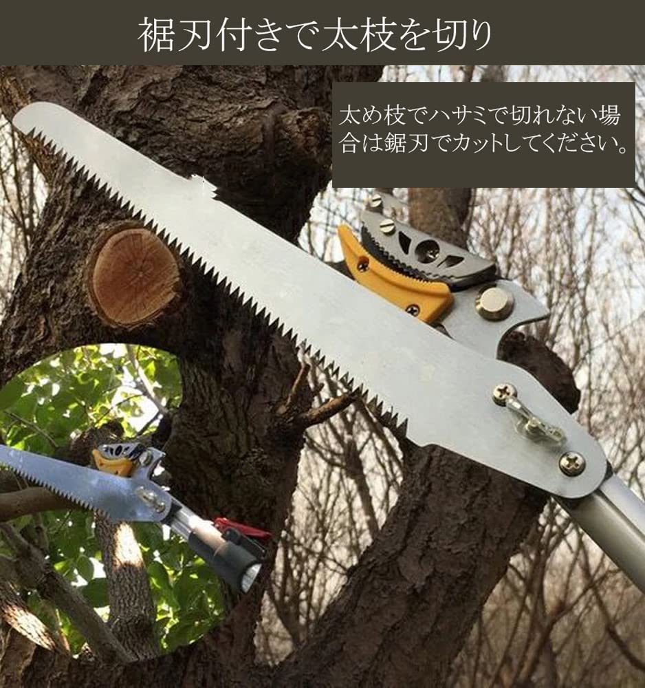 剪定バサミ 剪定ハサミ 剪定鋏 剪定はさみ 高枝切りバサミ ガーデニング Amazon | 高枝切りばさみ 高枝切りバサミ たかえだきりはさみ 剪定ばさ