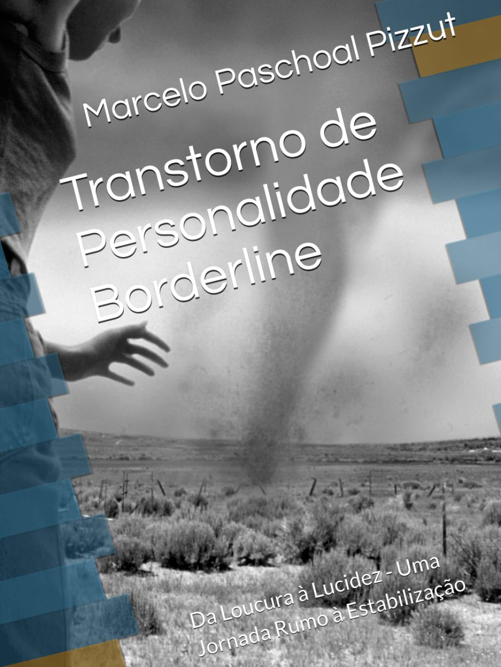 Transtorno de Personalidade Borderline: Da Loucura à Lucidez - Uma Jornada Rumo à Estabilização