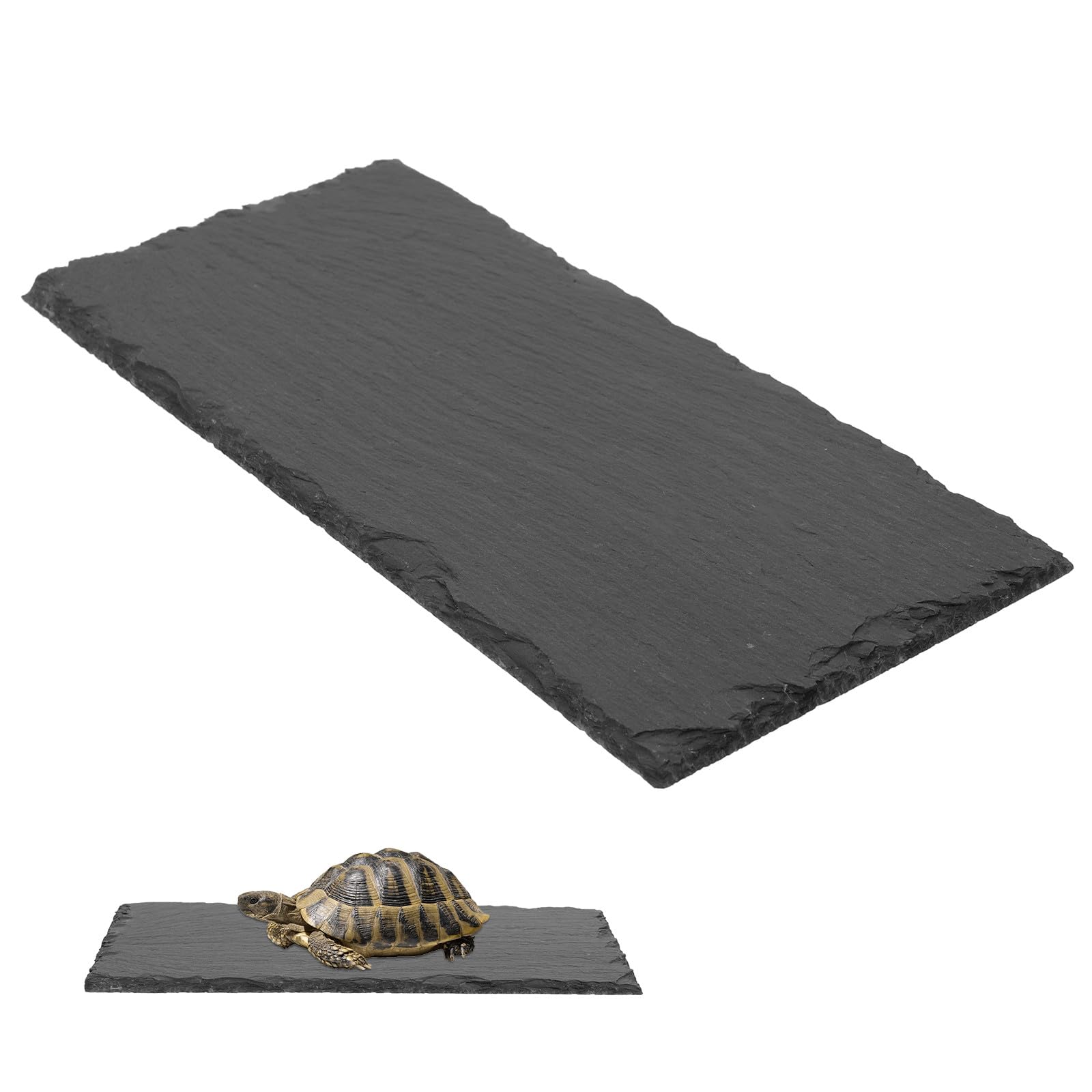 Assiette en pierre slabstone pour nourrir votre tortue terrestre en toute sécurité sur sa tablette