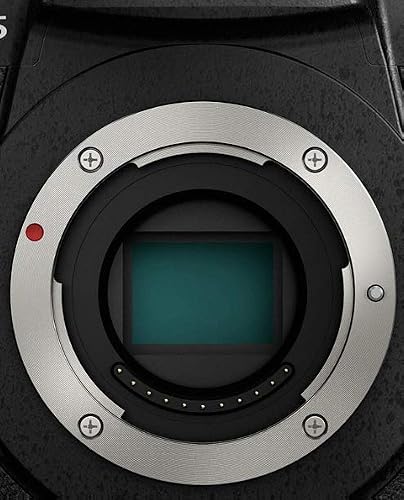 Amazon.com : Panasonic LUMIX GH5 4K Digital Camera, 20.3 Megapixel