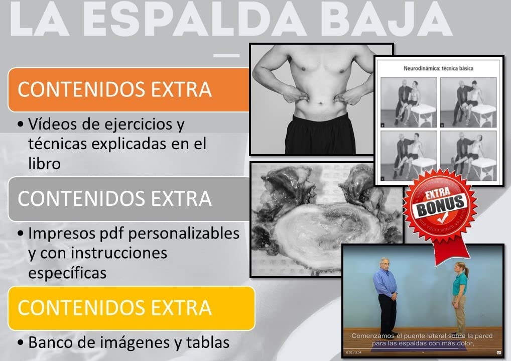 Trastornos de la Espalda Baja. Prevención y Rehabilitación Basadas en la Evidencia.