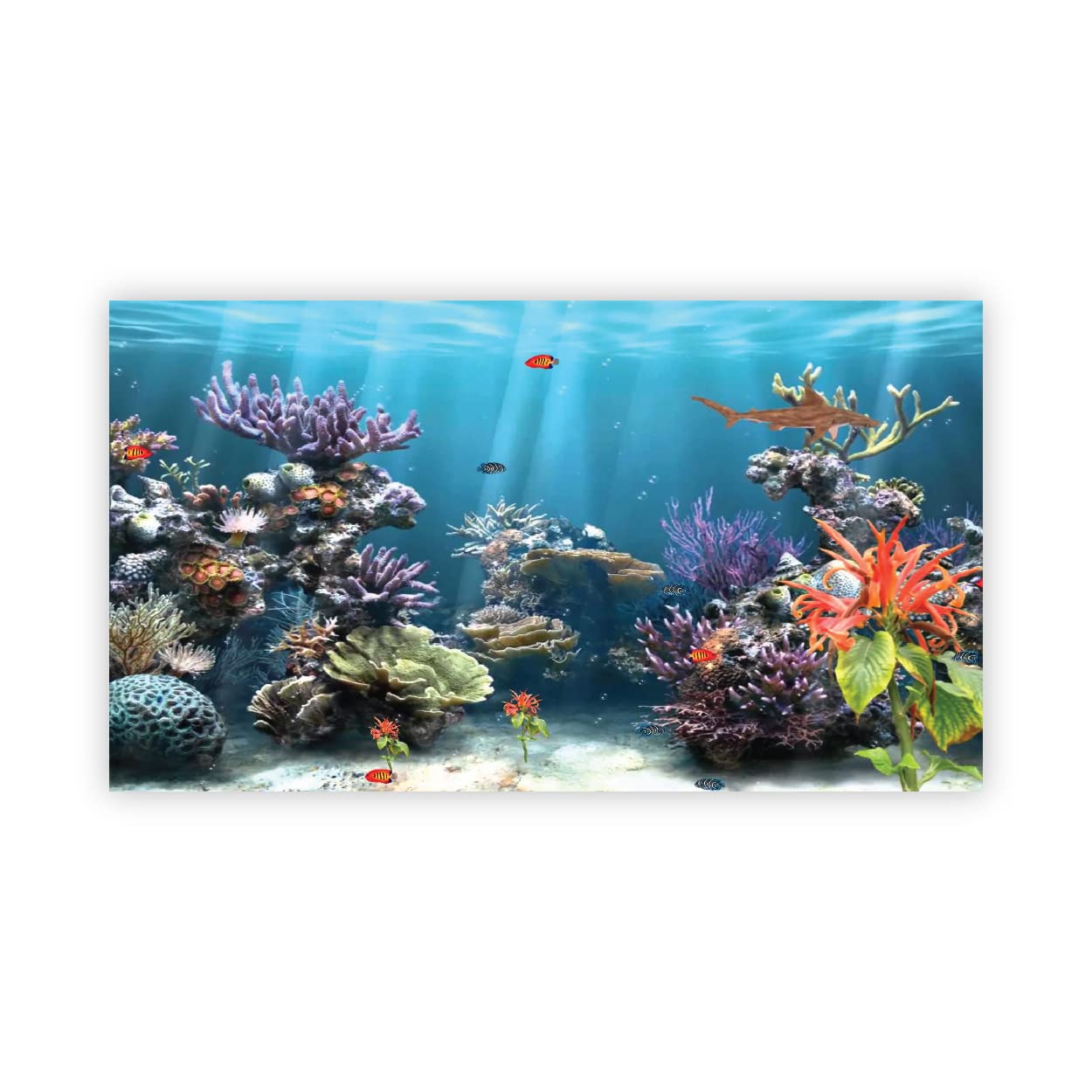 VVWV® Under Water Aquirium Background Stickers for Fish Tank Waterproof Vinyl Printed Sticker Multicolored (91 X 41 CMS) (B0BW4BDDCZ) Amazon Price History, Amazon Price Tracker