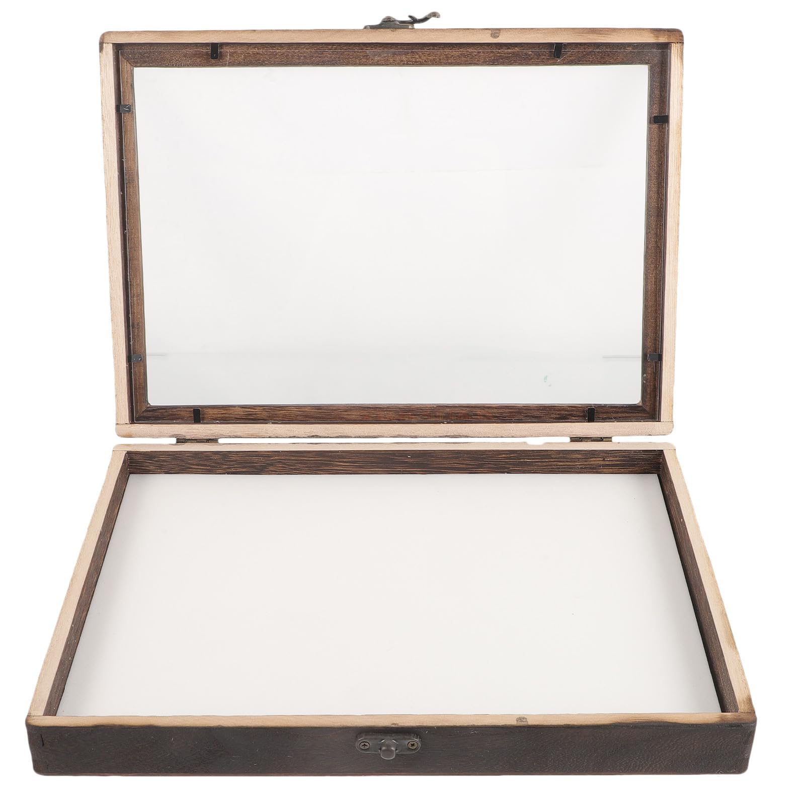FOMIYES Caja de Exhibición de Insectos y Tapa Estilo Vintage Ventana Transparente de Madera para Almacenamiento y Compacta Varios estilos Hogar