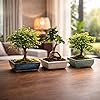 Product Photo 9