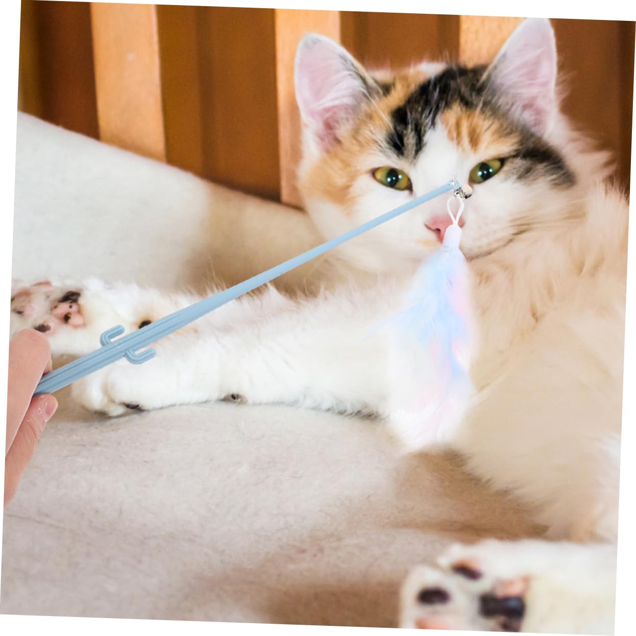 BESPORTBLE 16piezas Varita Interactiva para Gatos con Pluma y Mango Ergonómico De Estimulación Divertida para Mascotas para Interacción y Entretenimiento Casa