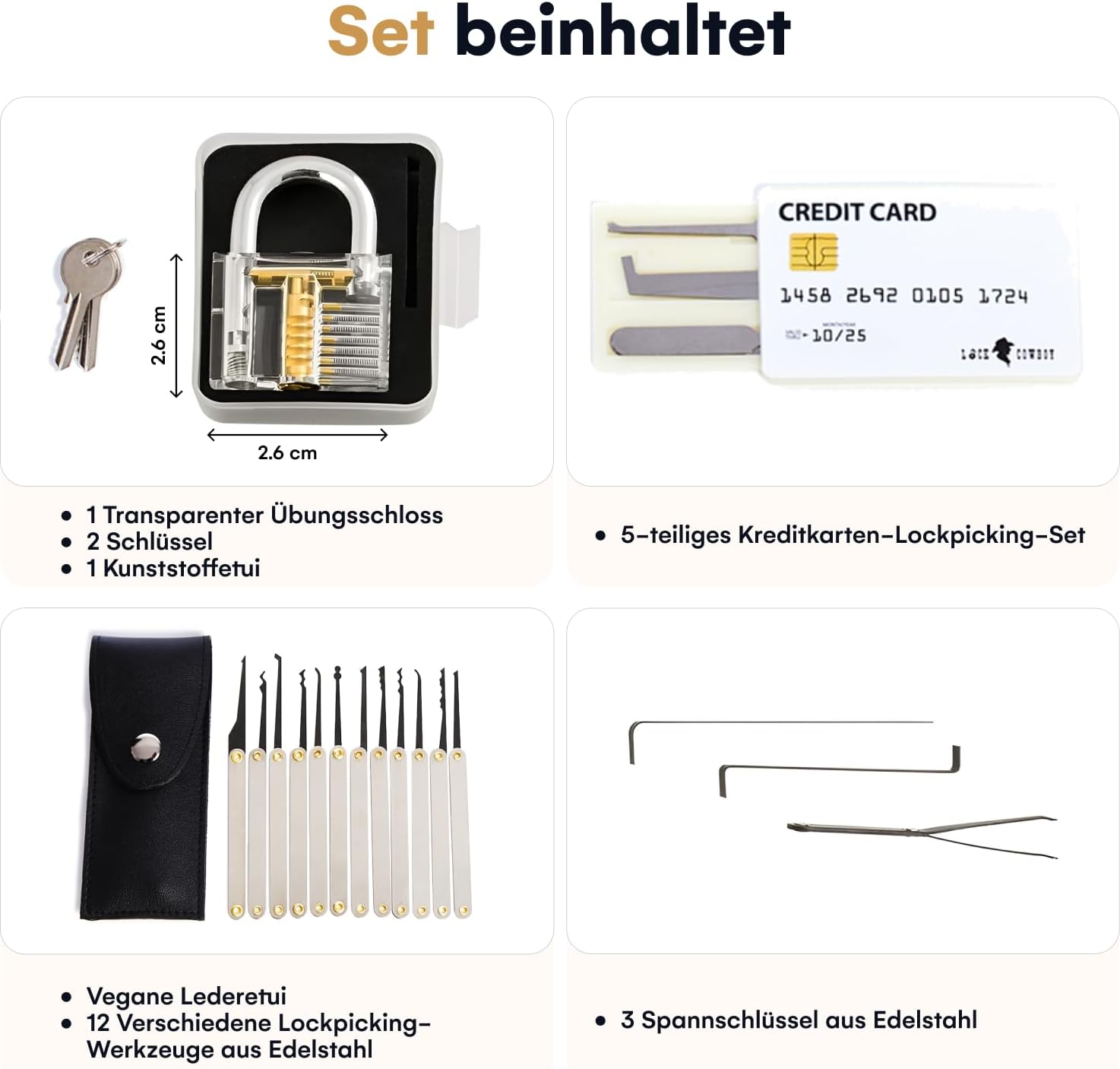 Dietrich-Set 20-Teilig: Der ultimative Schlossoeffner für Einsteiger und Profis!