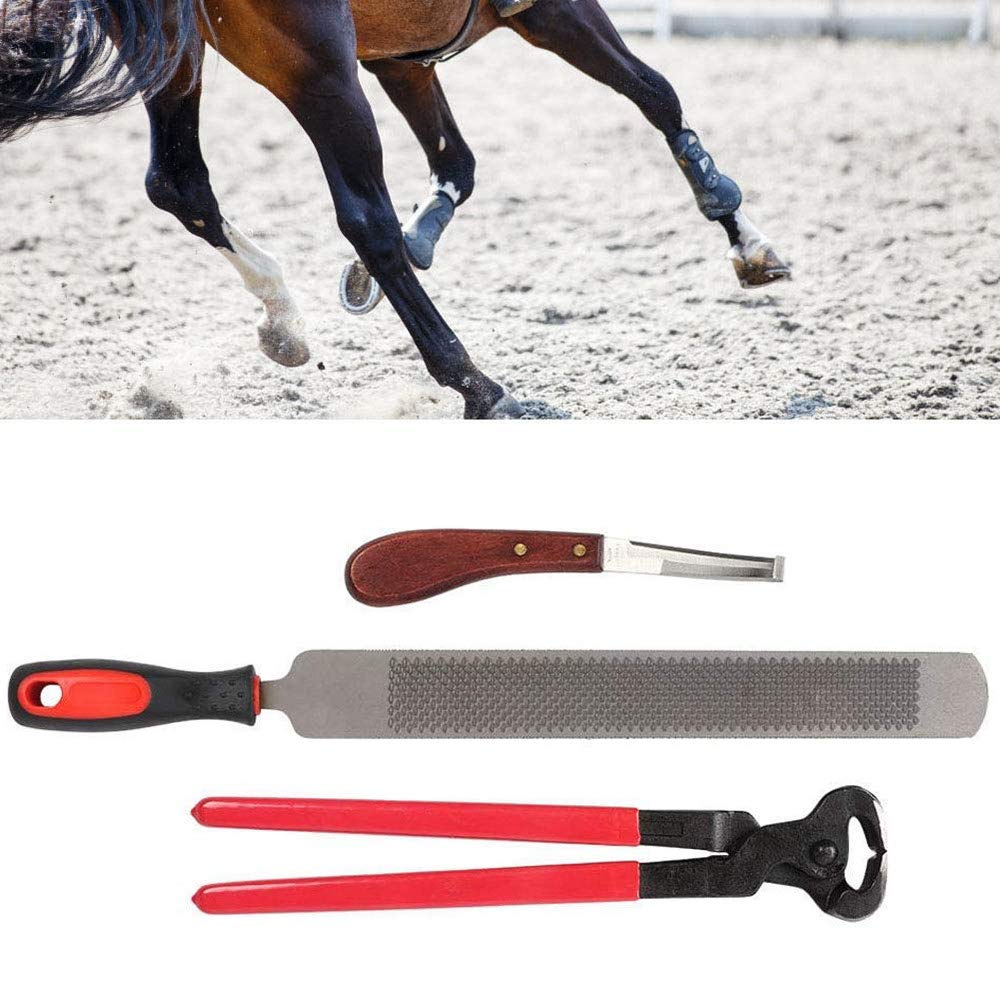 Buy LIMEID Horse Farrier Hoof Trim Tool Kit, Horse Equine Metal Shears
