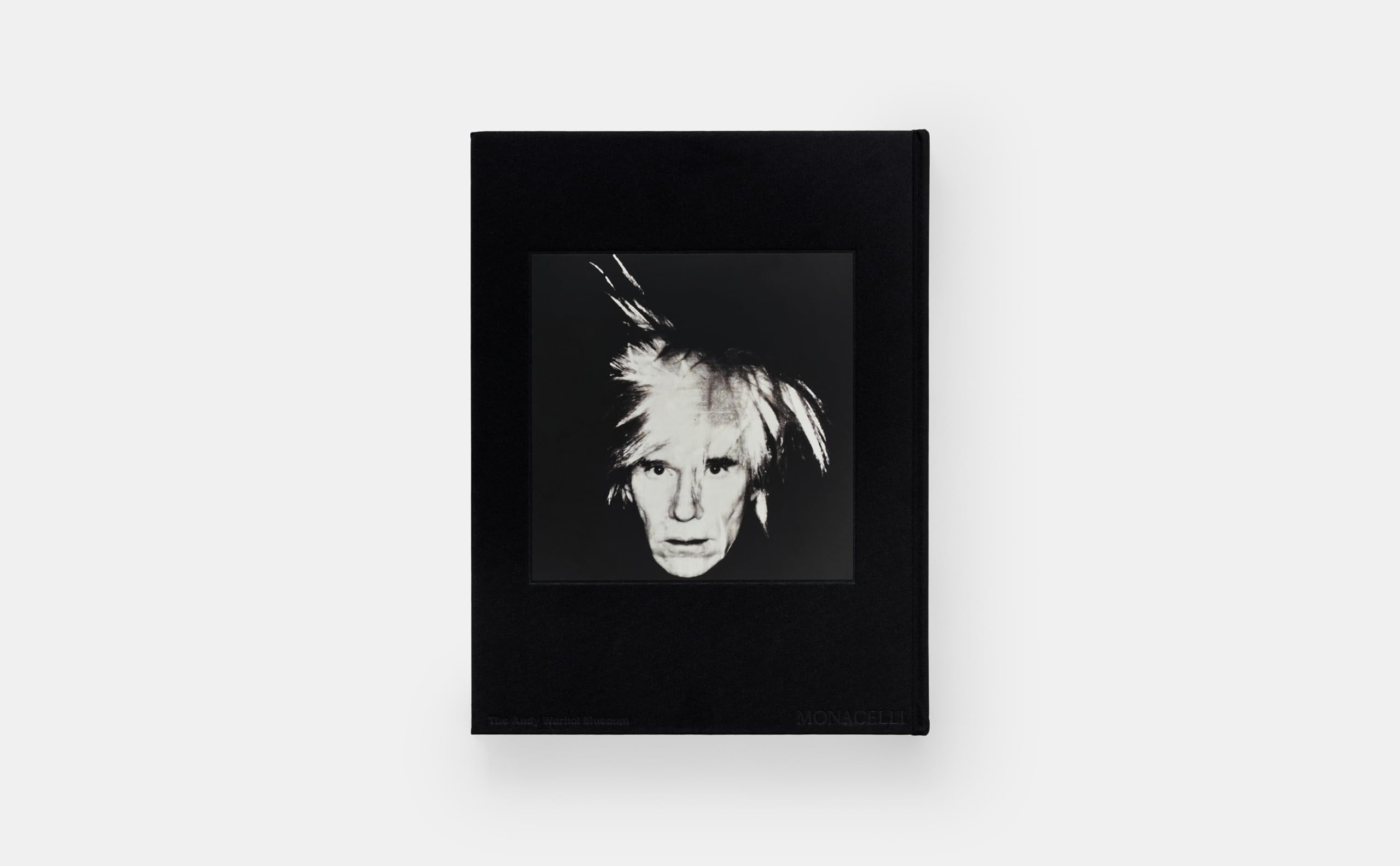 KAWS + Warhol (ART)