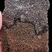 LapidaryCentral Gem Dinosaur Bone Lapidary Stone Slab! Fossil Dino Bone!