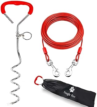 Explore backyard leash for dogs