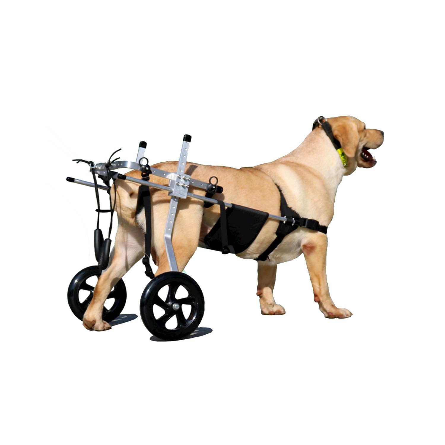 Yinian 2 Ruote Sedia a Rotelle per Cane Carrello per Disabili Scooter per Animali Domestici Carrello per Cani Disabili con Ruote per Riabilitazione di Gambe di Animali Disabili(Size:XL（20-30kg）)