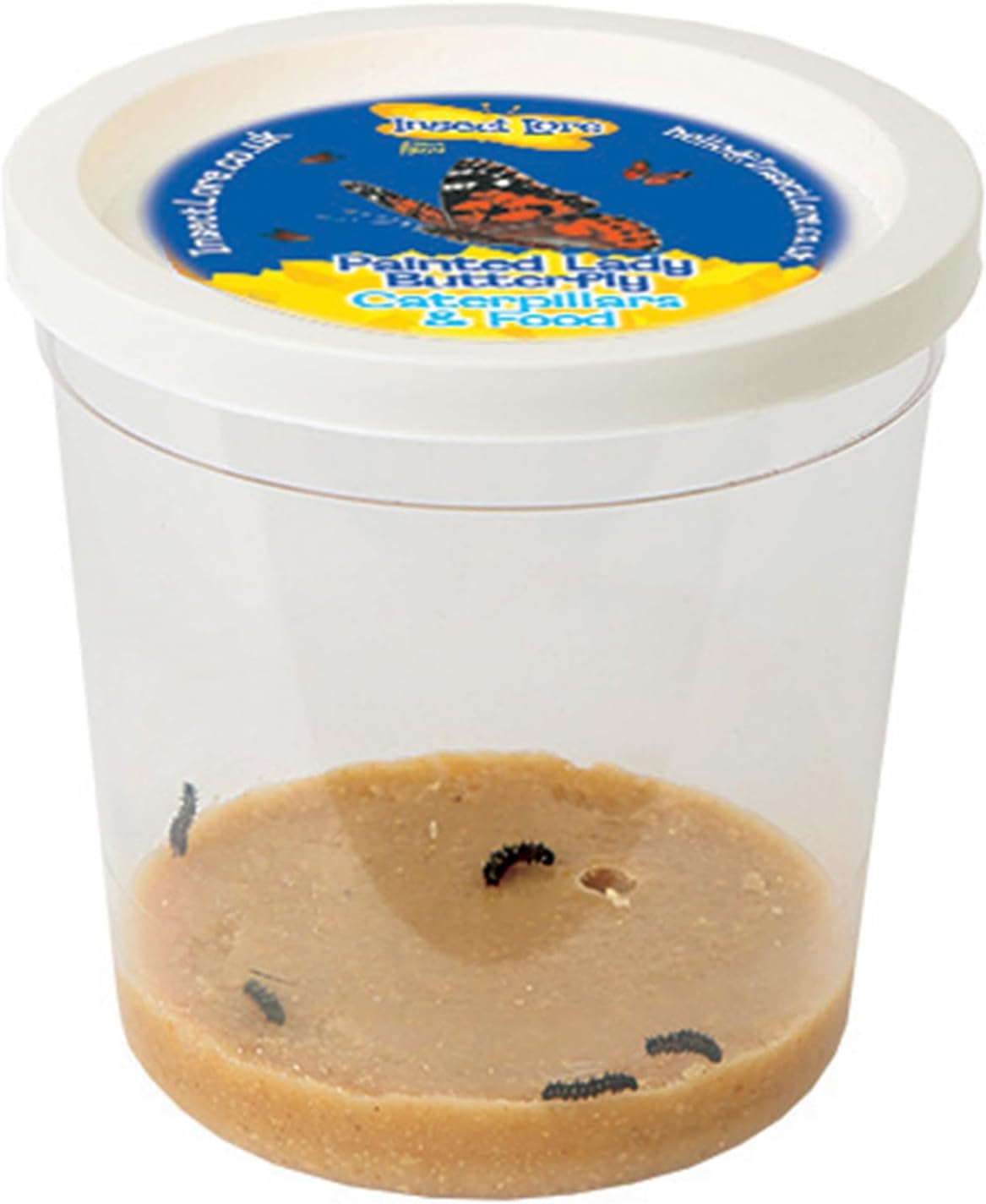Insect Lore Cup of 3-5 Live Baby Caterpillars - Raise and Release Refill